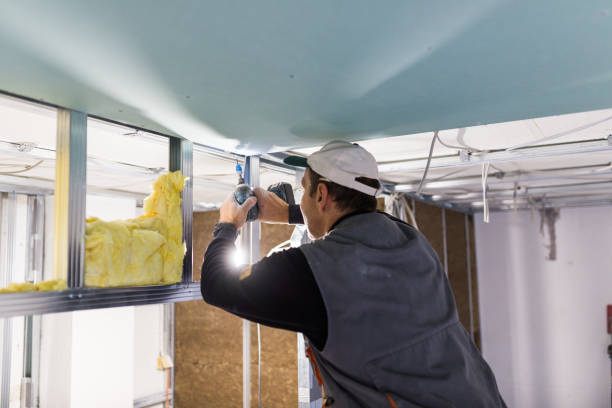 Best Energy-efficient Insulation  in Bannockburn, IL