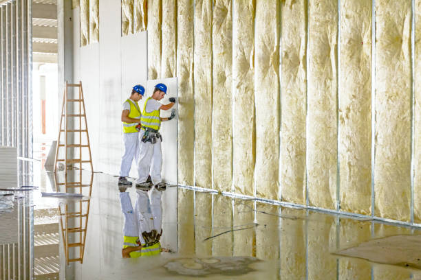 Best Soundproof Insulation Installation  in Bannockburn, IL